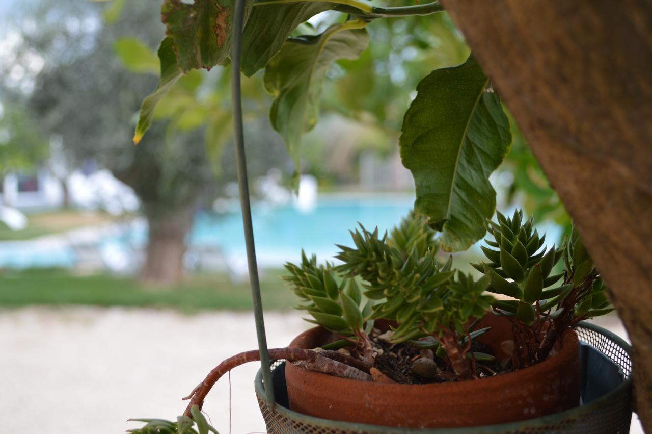 Hotel Torre Santamaria 4*